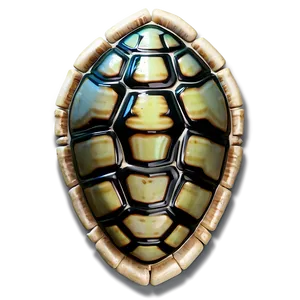 Turtle Shell Interpretation PNG 06132024