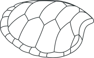 Turtle Shell Outline Graphic PNG image