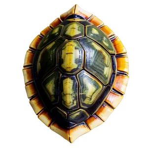 Turtle Shell Representation PNG 79