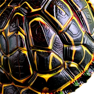 Turtle Shell Texture Closeup PNG 06242024