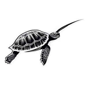 Turtle Silhouette Graphic Png Klo PNG image