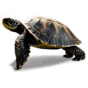 Turtle Silhouette Profile Png Rbp PNG image