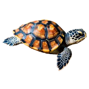 Turtle Underwater Photography Png 8 PNG image