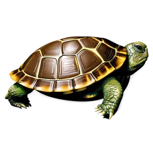 Turtle Vector Icon Png Osq86 PNG image