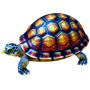 Turtle With Detailed Shell Pattern Png Mcn65 PNG image