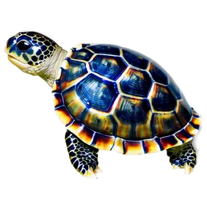 Turtle With World Map Shell PNG 06242024