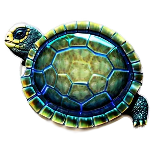 Turtle With World Map Shell PNG Jlo89 PNG