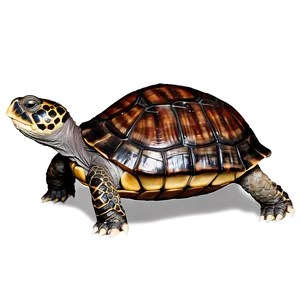 Turtle With World On Back Png Fla PNG image