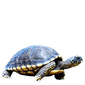Turtle With World On Back Png Pqt PNG image