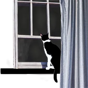 Tuxedo Cat At Window Png 06262024 PNG image