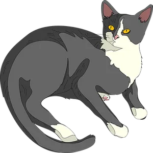 Tuxedo Cat Illustration