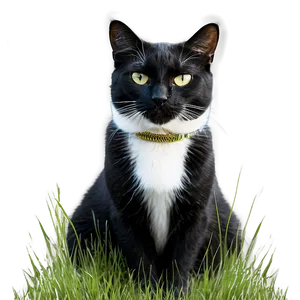 Tuxedo Cat In Grass Png 77 PNG image