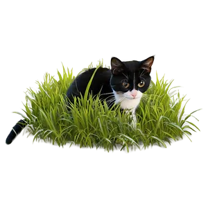 Tuxedo Cat In Grass Png Qjp PNG image