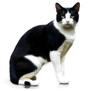 Tuxedo Cat Silhouette Png Slb23 PNG image