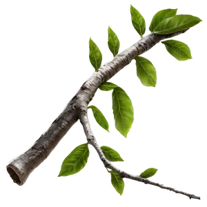 Twig B PNG image