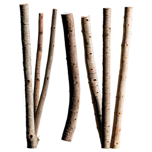 Twigs And Sticks Png 06132024 PNG image