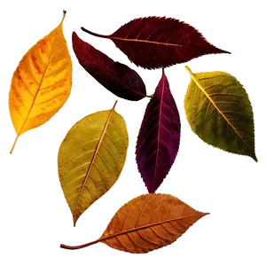 Twilight Autumn Leaves PNG 71