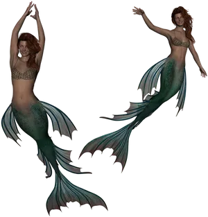 Twin Mermaids Illustration PNG image