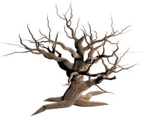 Twisted Bare Tree Black Background