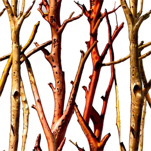 Twisted Branches Png 34 PNG image