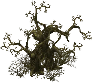 Twisted Dead Tree Artwork PNG image