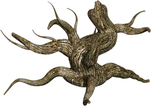Twisted Tree Trunk Artwork