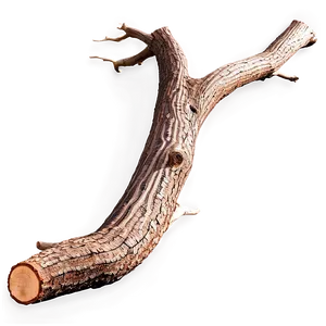 Twisted Tree Trunk PNG Wji PNG