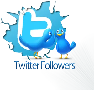 Twitter Followers Promotion Graphic PNG image