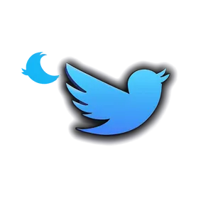 Twitter Light Mode Logo PNG 81