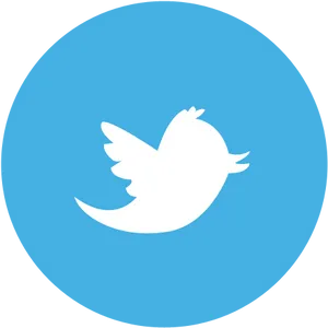 Twitter Logo Blue Background