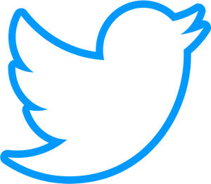 Twitter Logo Blue Bird Silhouette