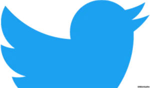 Twitter Logo Blue Bird Silhouette