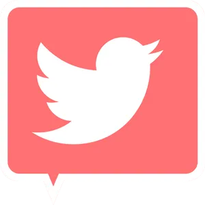 Twitter Logo Bubble Icon