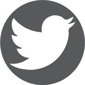 Twitter Logo Icon PNG image