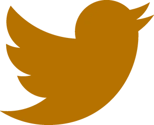 Twitter Logo Icon PNG image