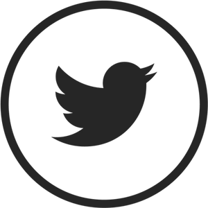 Twitter Logo Icon PNG image