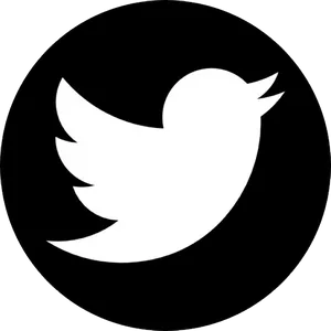 Twitter Logo Icon PNG image