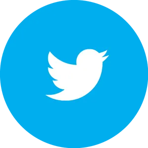 Twitter Logo Icon PNG image