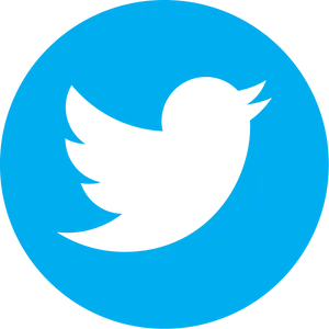 Twitter Logo Icon
