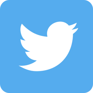 Twitter Logo Icon PNG image