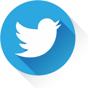 Twitter Logo Icon