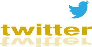 Twitter Logo Reflection