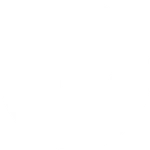 Twitter Logo Silhouette