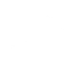 Twitter Logo Silhouette PNG image