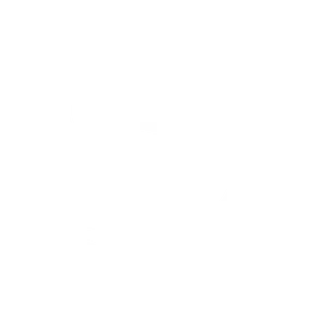 Twitter Logo Silhouette PNG image