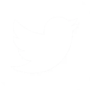 Twitter Logo Silhouette PNG image