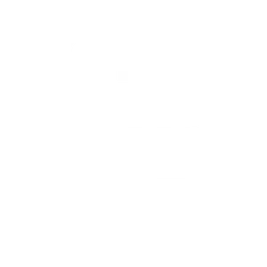 Twitter Logo Solid Color PNG image