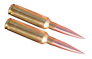 Two Ammunition Rounds PNG image