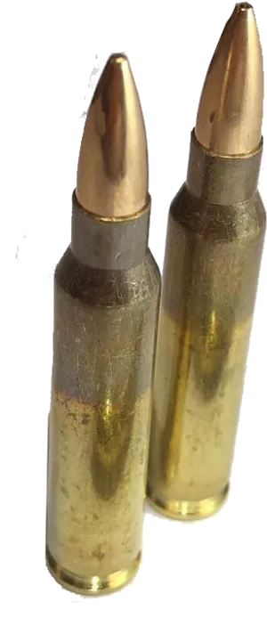 Two Bullets Standing PNG image