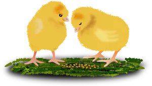 Two Chicks Feeding PNG image